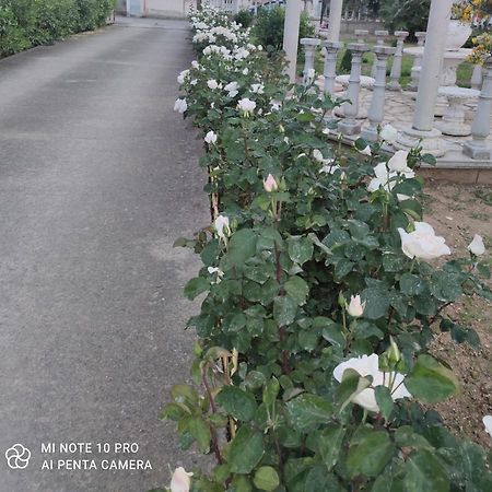 La Casa Delle Rose 2 Villa Giba Екстериор снимка