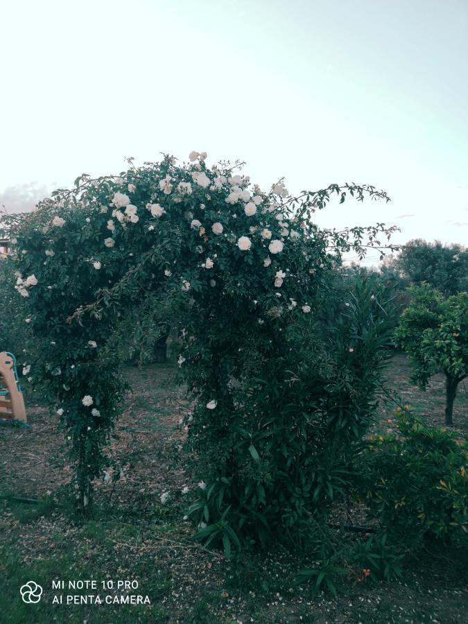 La Casa Delle Rose 2 Villa Giba Екстериор снимка